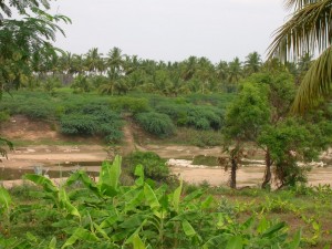 Amaravathi River
